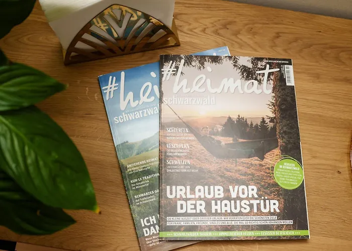 Sonnenterrasse 9 * Fischerbach